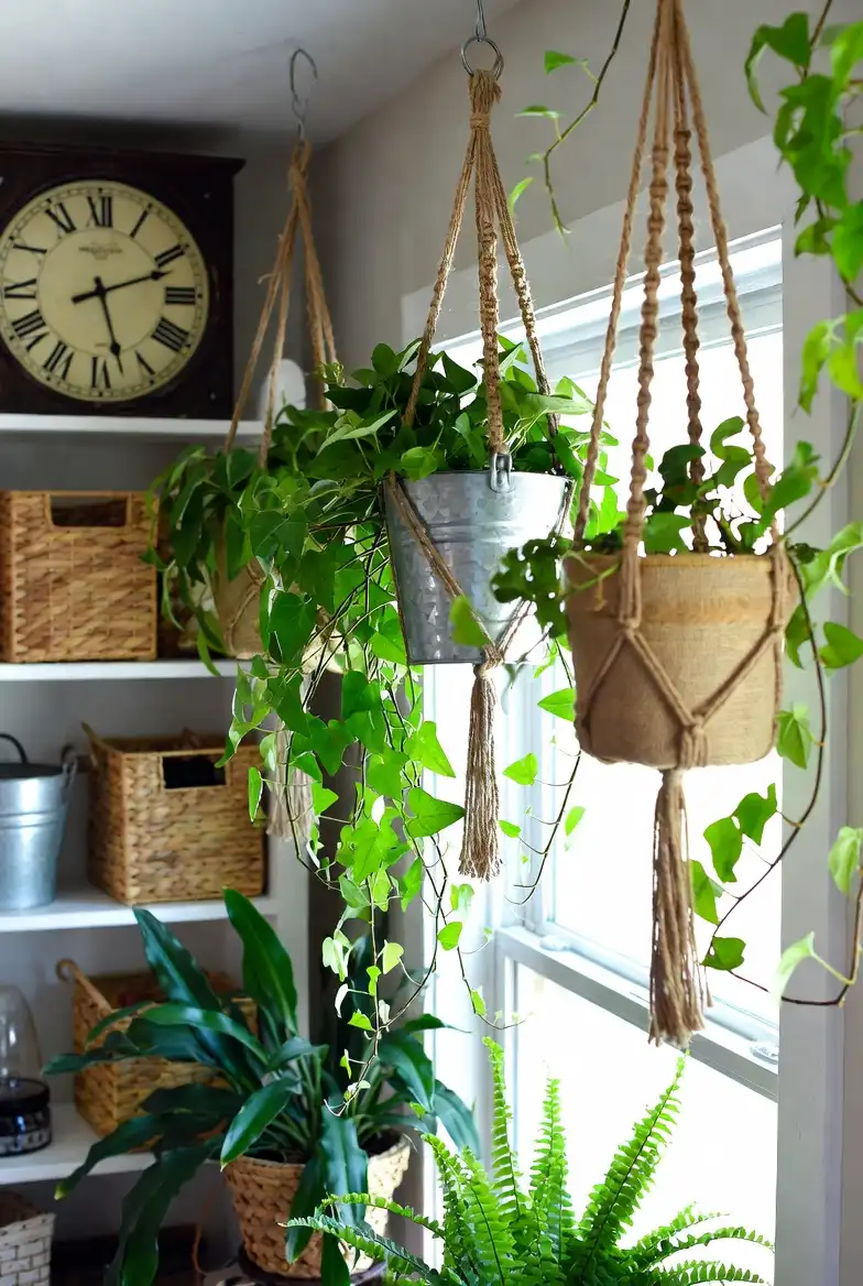 Hanging Planters